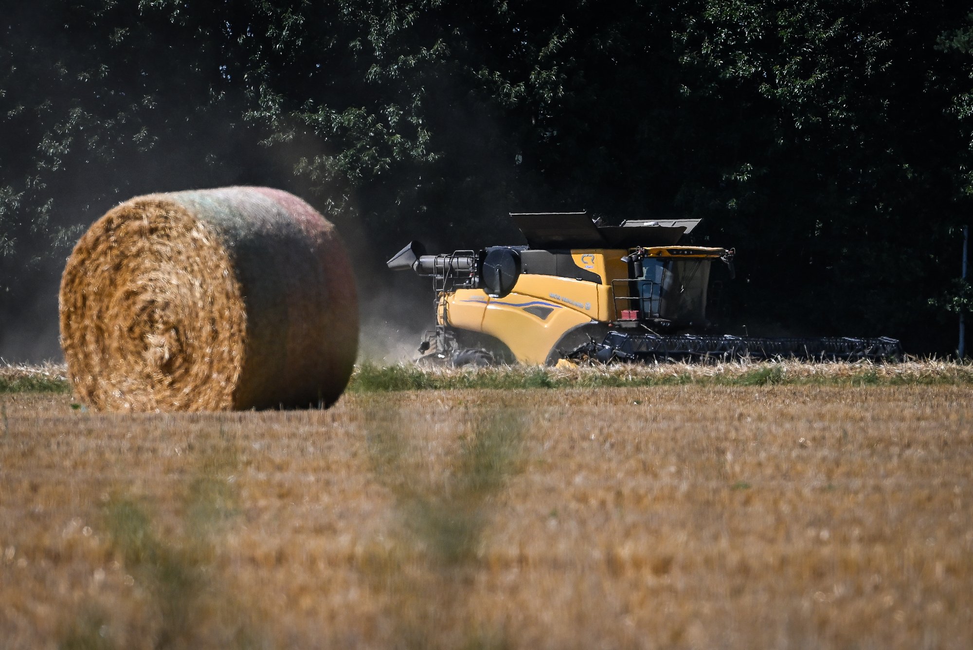 Céréales : la prochaine belle moisson ne compensera pas les pertes de l'année dernière