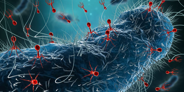 Eaux usées : Greenphage lève des fonds pour dépolluer les eaux usées avec des bactériophages