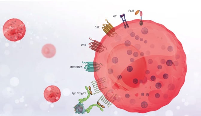La biotech Genoskin franchit un cap grâce à une levée de fonds de 8 millions d'euros