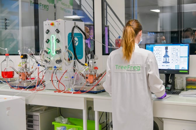 Les start-up Tehtris et Treefrog Therapeutics coupent dans leurs effectifs à Bordeaux