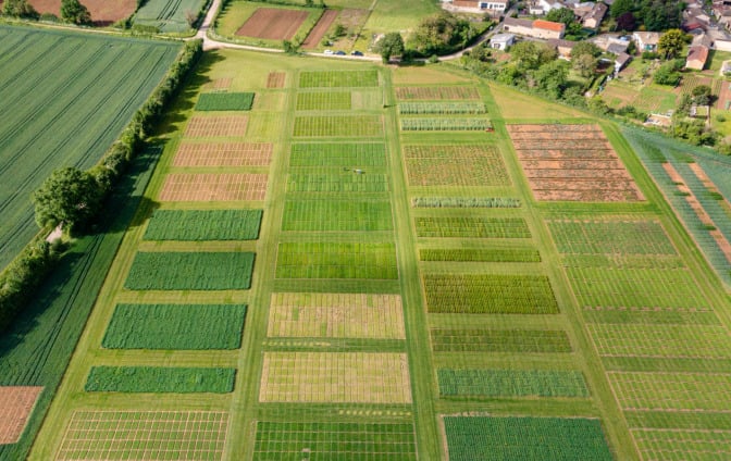 Les semences agricoles cherchent à s'adapter au changement climatique