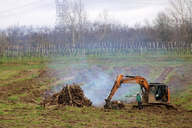 Les vins de Bordeaux au bord de la catastrophe économique