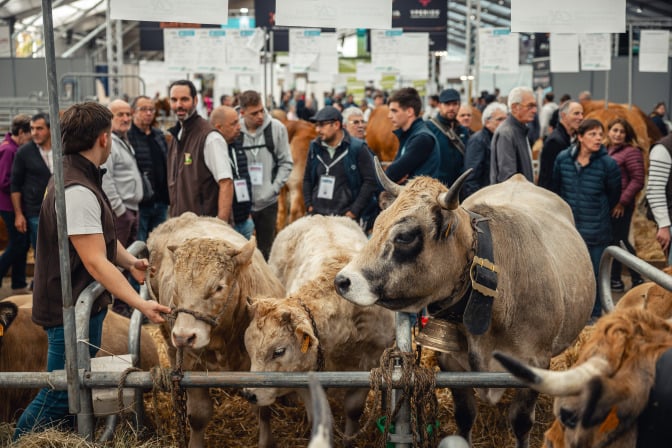 Élevage : un sommet marqué par les inquiétudes sanitaires et un record d'exposants