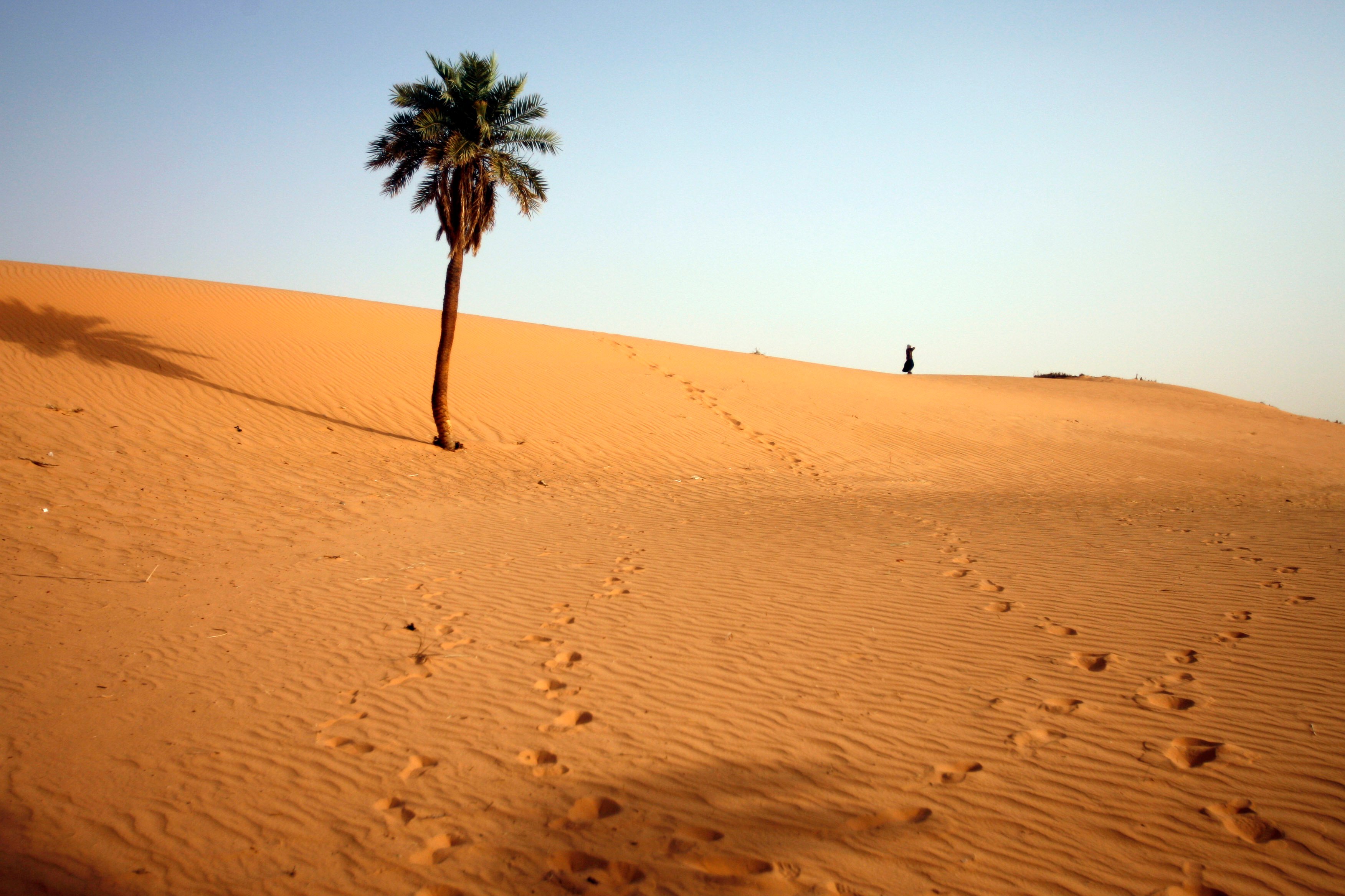Sahara occidental : la France annonce un investissement de 150 millions d'euros