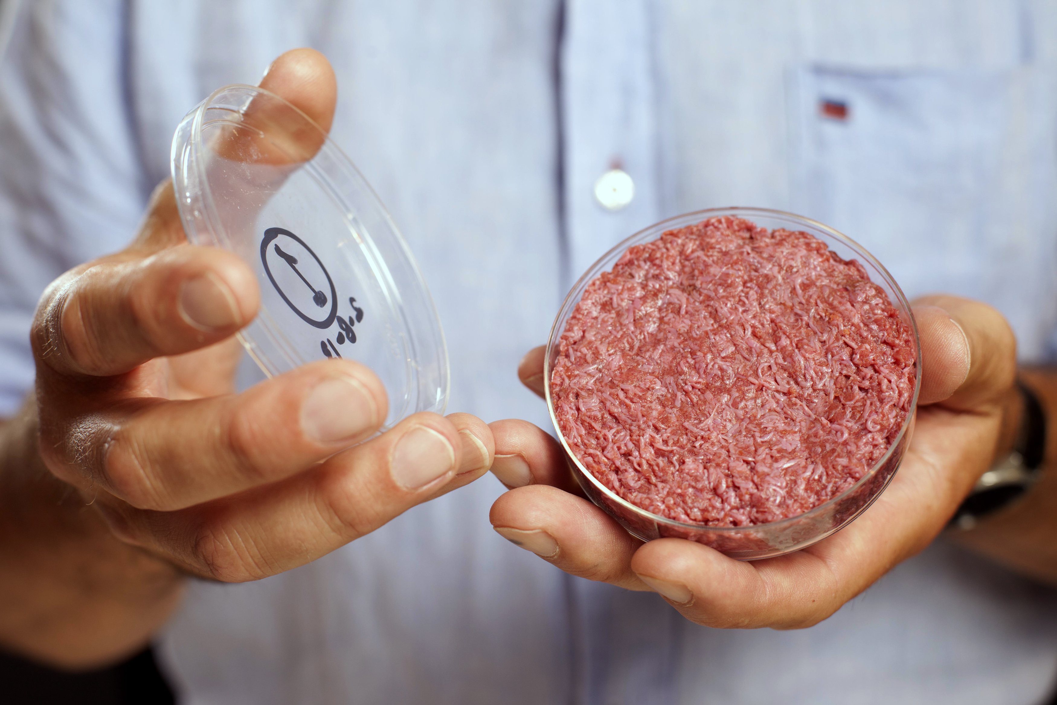 L'Italie interdit la production de viande artificielle
