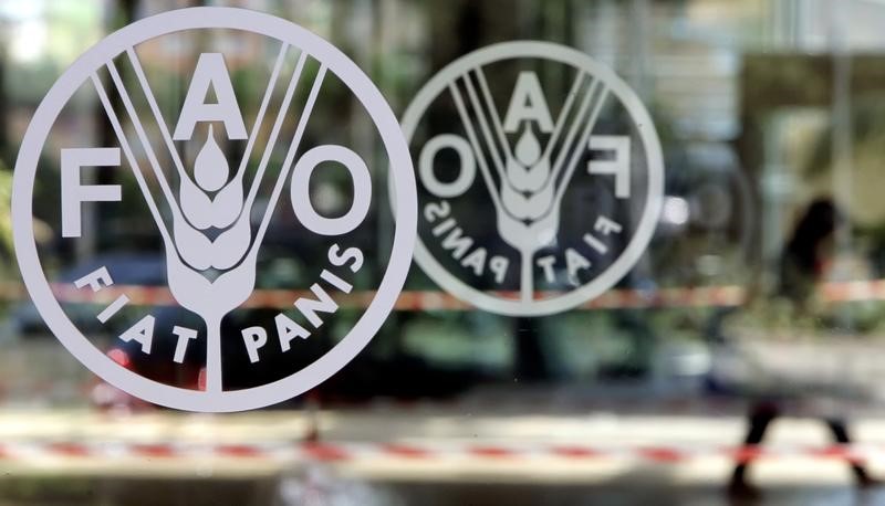 Les prix alimentaires ont poursuivi leur baisse en octobre, selon la FAO