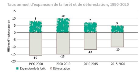 Forêt expansion
