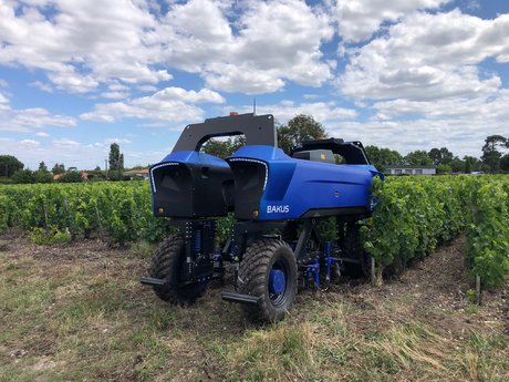 robot innovation viticulture