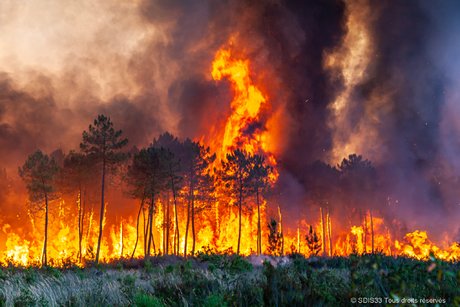 Incendies Gironde Landiras juillet 2022