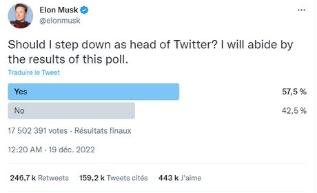Twitter Musk vote