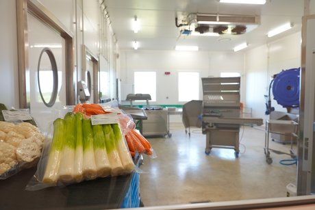 Les légumes sont lavés, épluchés, découpés puis mis sous vide pour être livrés dans les cuisines des restaurants collectifs.