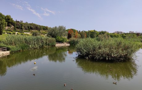 Le parc inondable de La Marjal à Alicante a été bâti au sein de la ville soumise tant au stress hydrique qu'à des pluies torrentielles de plus en plus fréquentes et intenses.