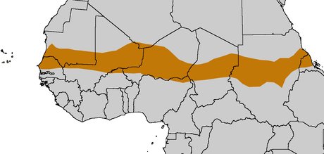 Sahel, Afrique, carte,