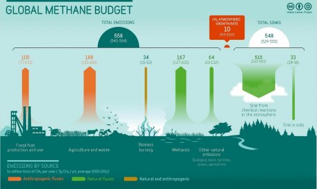 Global methane budget