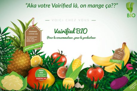 Agribusiness: in partnership with AgroPro, Vairified launches Vairified ...