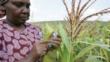 fermière kenyane agriculture tech agritech
