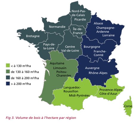 L'Occitanie veut oxygéner sa filière forêt-bois