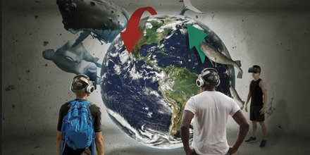 The Virtual Arctic Expedition