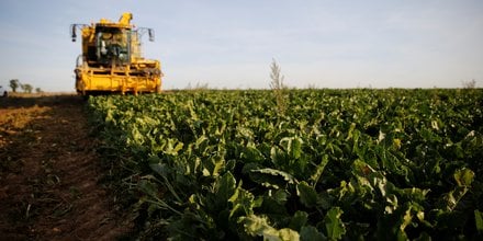 La loi agriculture et alimentation definitivement adoptee