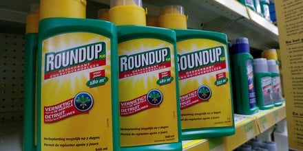 Nouvelles plaintes contre l'utilisation du glyphosate