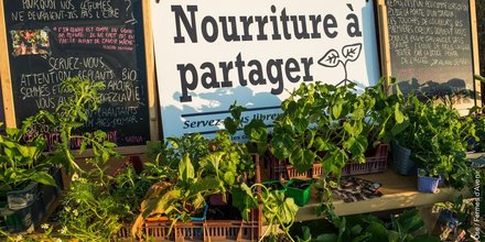 permaculture, bio, agriculture