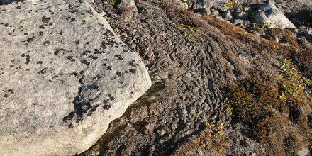 permafrost