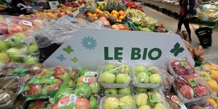 2018, annee record pour la production biologique en france