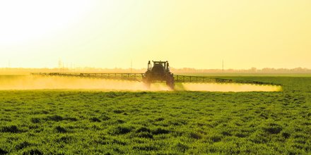 Glyphosate