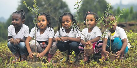 Ethiopie, plan de reboisement