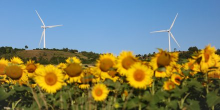 eoliennes agri