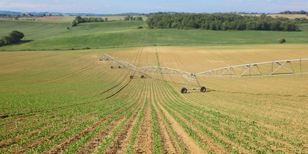 irrigation eau