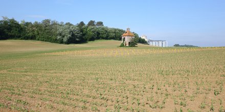 agriculture Gers