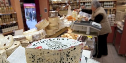 Illustration fromage Roquefort, fromagerie, Paris, France