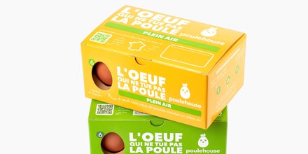 H313-LT2, p37, Poulehouse, oeuf, bio,