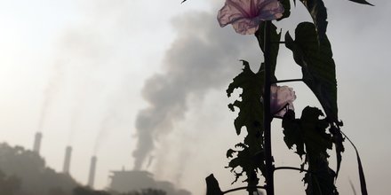 Industrie en Inde