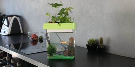 ozarium