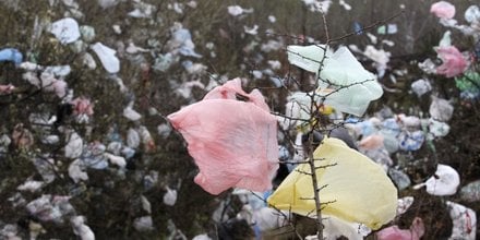Mer: les efforts de l'ue contre le plastique portent leurs fruits selon une etude