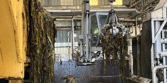 Le breton JRS Marine Products mise sur l'essor des produits biosourcés issus des algues brunes