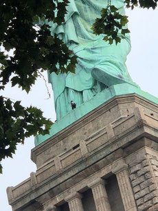 Usa: la statue de la liberte evacuee, une femme sur son piedestal[reuters.com]