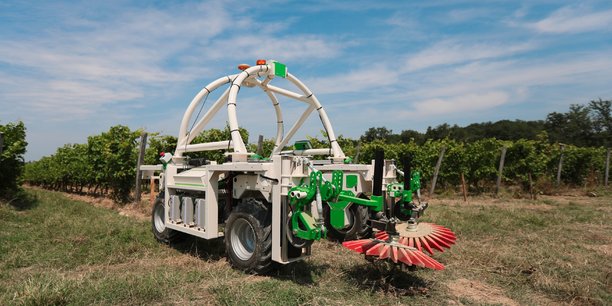 Le robot viticole Ted peut désherber jusqu'à cinq hectares de vignes par jour.