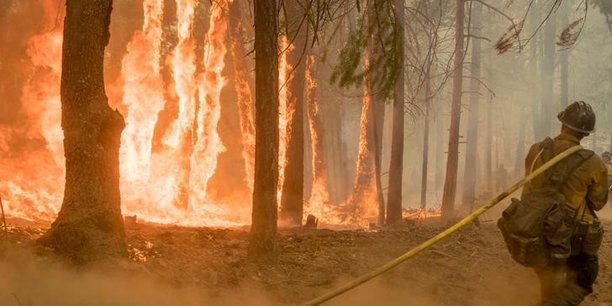 Les pompiers progressent contre les incendies en californie[reuters.com]