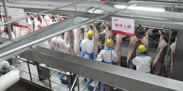 Un abattoir ferme apres un second cas de peste porcine en chine[reuters.com]