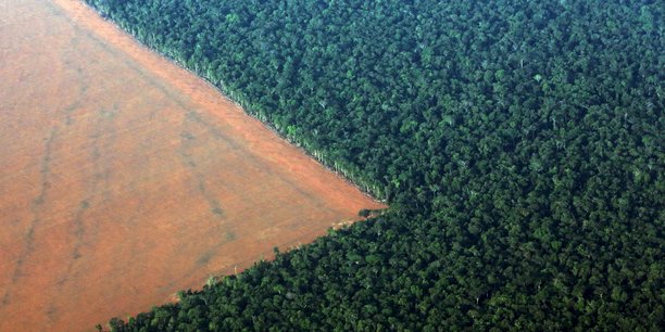 Une image des ravages de la déforestation de la forêt primaire d'Amazonie conduite avec l'approbation des autorités brésiliennes afin de faire place à des cultures de soja dont le Brésil est le deuxième plus grand producteur mondial, après les Etats-Unis et devant l'Argentine. (Vue aérienne prise dans le Mato Grosso, le 4 octobre 2015)