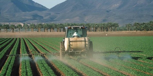 En Côte d'Ivoire, le chiffre d'affaires de la fraude sur les pesticides est estimé à quelque 12 milliards de Fcfa par an.