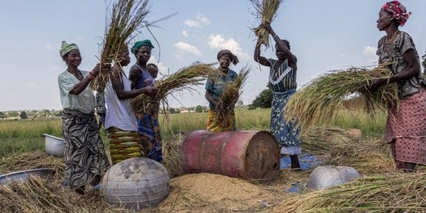 Au Burkina Faso, les fonds de la Société internationale islamique de financement du commerce (ITFC) seront mobilisés au financement des opérations d'exportation de produits agricoles tels que le coton et d'importation d'intrants et de produits alimentaires.