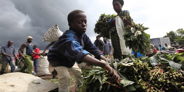 Un jeune garçon vend des feuilles de manioc sur un marché de Bunagana, dans l’est du Congo, près de la frontière ougandaise (octobre 2012).