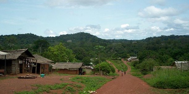 «Paysage forestier Nord Congo», un des projets financés par l'AFD, vise à assurer le maintien du continuum écologique et la préservation de la biodiversité dans la partie nord du Congo.