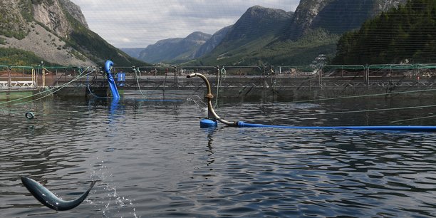 Vue du centre de recherche d'aquaculture de Cargill à Dirdal (Norvège). L'aquaculture satisfait l'augmentation de la demande en poisson depuis le début des années 1990 et va bientôt dépasser la pêche traditionnelle en quantité. Les espèces marines menacées de surpêche comme le thon rouge sont celles qui n'ont pas encore été domestiquées.