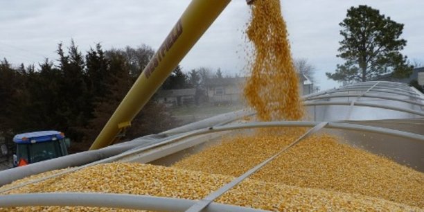 Les prix de plusieurs denrées alimentaires en février 2019 ont été nettement inférieur à ceux de la même période de l'année précédente. Par exemple, le prix du maïs a enregistré une baisse de 41%.