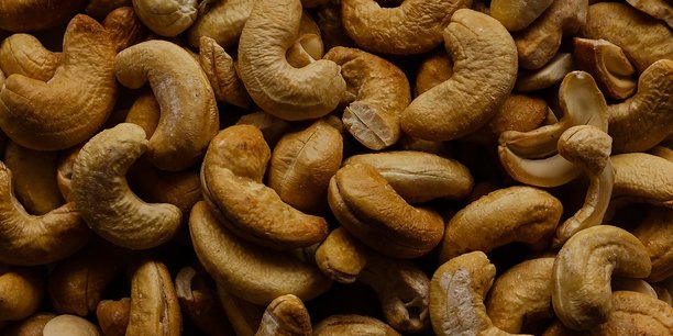 La Côte d'Ivoire, premier producteur mondial de noix de cajou, escompte pour la campagne de commercialisation 2019 qui a débutée le 15 février dernier, une production de 800.000 tonnes contre 761.000 tonnes en 2018 et 711 236 tonnes en 2017.